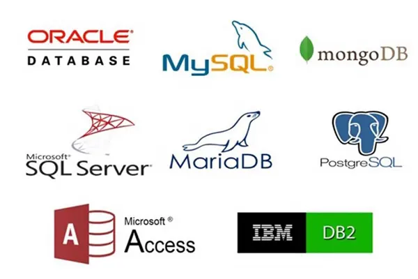 SQL và hệ quản trị cơ sở dữ liệu